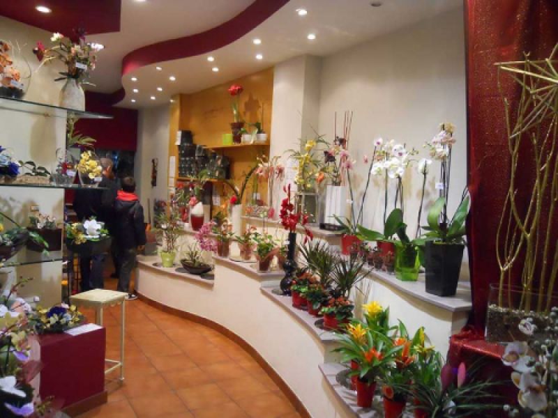 Otros trabajos DE LA FUENTE JUSTE